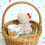 Bear Kitchen Dish Towel Set Soft Durable 2 Pack 1