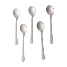 Mini Size Titanium Small Dessert Spoon Outdoor Camping Coffee Mixing Spoon N6