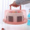 Cake Carrier with Lid & Handle, Fits 8" Cake, Compatible with Refrigerator Storage 4