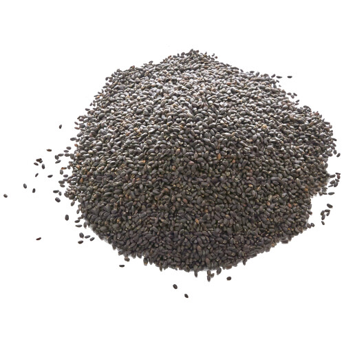 Old India Basil Seeds 500g 2