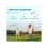 Portable Badminton Net Set with Volleyball Net, Rackets, Shuttlecocks 5