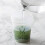 Den's Tea] Matcha Mini Shaker 4