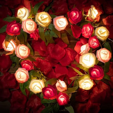 1PC LED Foam Rose String Lights (batteries not included) – Valentine's Day, indoor & party decoration