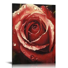 Tableau sur toile représentant une rose rouge épanouie sur fond noir, 40 x 50 cm (16 x 20 pouces)