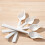 Bird Feeder Spoon for Parrots 1 Piece 4