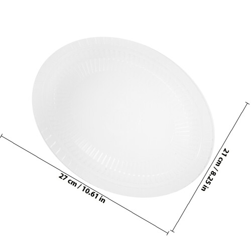 10Pcs Transparent Party Bbq 1