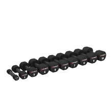 Juego de mancuernas de poliuretano de 20 kg