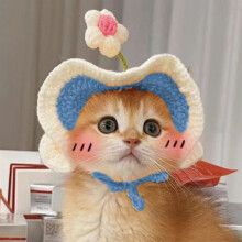 Cat Party Hat with Ear Holes and Adjustable Tie