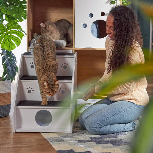 Escalier pour animaux de compagnie avec 3 marches et rangement caché 1