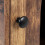 Armoire industrielle pour chat avec bac à litière 6
