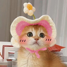 5.91" Cat Party Hat with Ear Holes & Adjustable Tie – Hand-Woven, Soft, Cute Flower Design for Cat Photography & Decor – Compatible with Cats