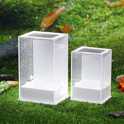 Bærbart terrarium i klart plast for reptiler 2