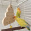 Lovebirds Parrots Budgies Cage Toy Πληκτρολόγιο Αναρρίχησης Φυσικό παιχνίδι λείανσης γομφίων 7