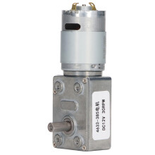 DC-motor med højt drejningsmoment, 12V snekkegear med stærk selvlåsning, stabil ydeevne, lang levetid til alsidig brug i automatiske