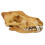 3St Wolf Model Resin Decoratief Multi Kleur 1