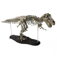 Realistic Dinosaur Skeleton Collectable PVC Dino for Figure Model Room Desk Decor Boutique Collect