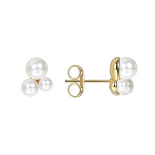 Gold Plated Shell Pearl Stud Earrings