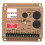 Input Power Supply Engine Speed Controller Unit Compatible For Engine Brands Governor Generator Parts ESD5500E With Working Idle Speed Speed Range 1
