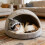 Hai Katt Kostyme Hodehatt Havdyrtema 5