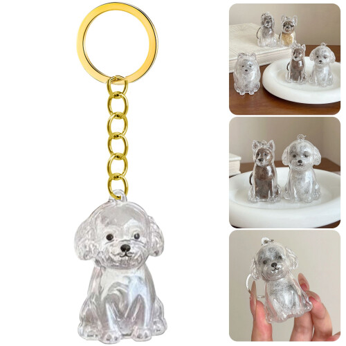 Pet Memorial Keychain with Clear Hair/Ashes Display Case 1