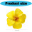 Presilha de cabelo com flor, elegante e simulada, 1 unidade. 3