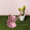 Elephant-Shaped Watering Can for Indoor Plants, 1.2L 2
