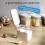 Clear spice organizer box with lids 6-pack 7