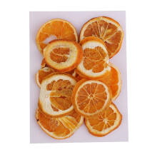 10x Dried Pressed Fruit Orange Slices for Resin Casting Jewelry Making Craft