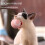 Smart Cat Ball Toy Automatic Rolling USB Rechargeable 6