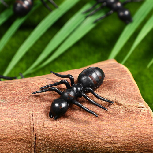 50Pack Simulation Ants Model Black Realistic Insect Decorations for April Fools Day 2