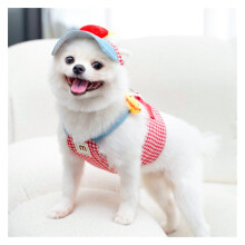 Pet Chest Strap Pulling Cat Rope Set, Cat & Dog Clothing, Outdoor Dog Supplies (Red,M)