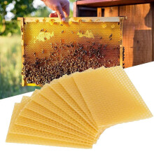 30pcs Honey Sheets Beehive Wax Foundation Beekeeping Equipment Bee Comb Honey Frame