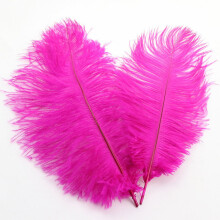 Colorful Ostrich Feathers 30-35cm – Decorative Plumes for Wedding, DIY, Stage & Party Decor