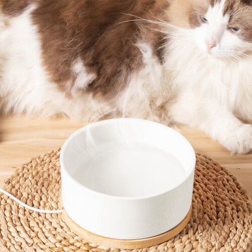 USB Heated Thermostatic Pet Water Bowl Ceramic 1 pc 2