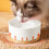 USB Heated Thermostatic Pet Water Bowl Ceramic 1 pc 4