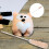 Cotton Filling Tool with Ergonomic Handle 1pc 4