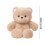 Ensemble de peluches Chat calico Koala Agneau 3 pièces 3