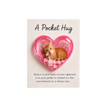 A Pocket Hug - Cat Version, Adorable Animal Sympathy Card, Small Token of Love for Grieving, Encouragement & Support G 1PC