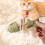 Ξύλινο οδοντιατρικό παιχνίδι γάτας Purrident Catnip με κόκαλα ψαριού 6