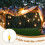 E12 LED flickering flame bulb 4-pack 5