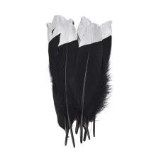 Weiche Gänsefedern, naturfarben, 15–20 cm, echt goldgetaucht, für Bastelarbeiten, Hochzeitsdekoration, Partydekoration, 10er-Packung, Traum