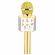 Gold handheld karaoke microphone for kids ages 4-13