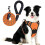 Adjustable No Pull Dog Harness with 5ft Leash for Pets (Orange) 1
