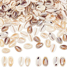 Cowrie Shells Beads Natural Spiral 160 pcs 16-20mm