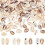 Cowrie Shells Beads Natural Spiral 160 pcs 16-20mm 1