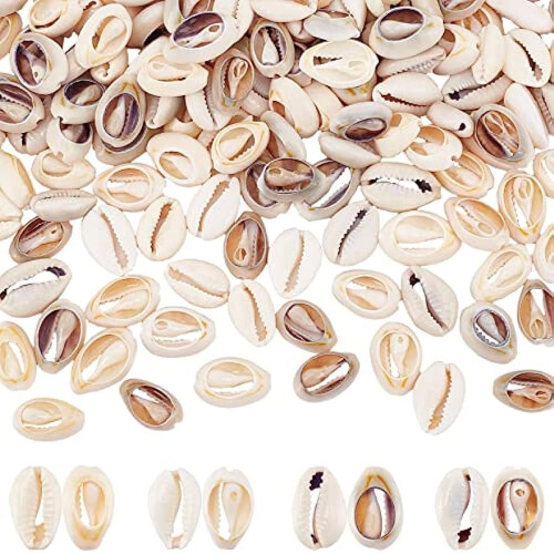 Cowrie Shells Beads Natural Spiral 160 pcs 16-20mm