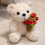 Urso de Pelúcia com Rosa – Bichinho de Pelúcia Macio e Kawaii 1