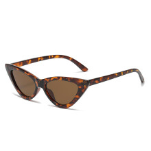 Lunettes de soleil à verres antireflets, monture en plastique de haute qualité, style œil-de-chat, soigneusement emballées dans une pochette