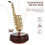4Pcs Artistic Golden Plastic Music Box Instrument Decor 10