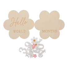 1Set Holz Baby Monatsmeilenstein Karten Bunte Neugeborenen Foto Props